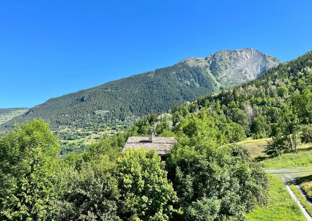 Chalet Altus Sainte-Foy-Tarentaise France