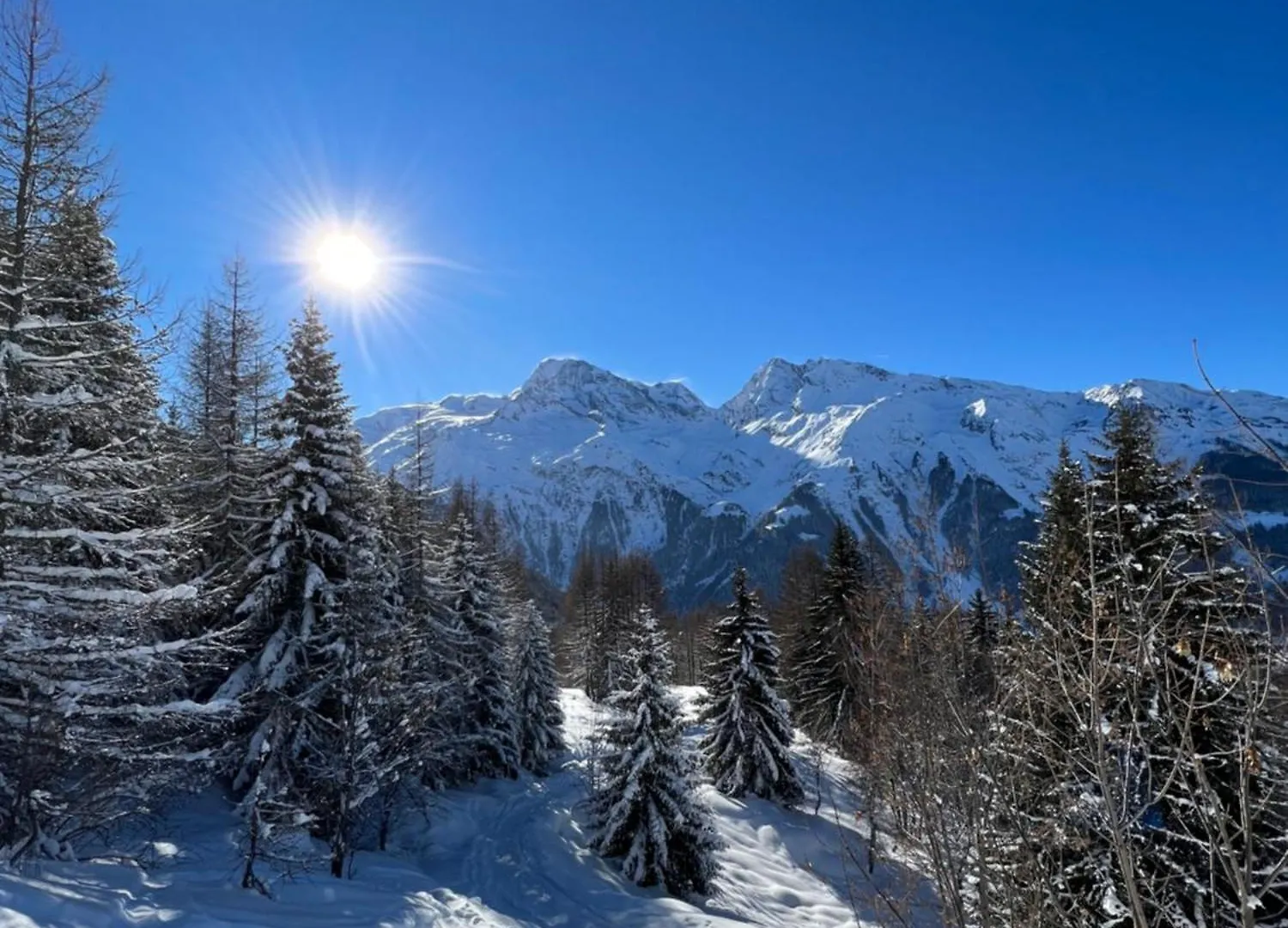 Chalet Altus Sainte-Foy-Tarentaise
